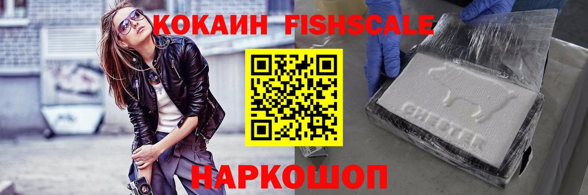 где купить наркоту  Кокаин Fish Scale  Вход с VPN  Елизово  КОКАИН Перу 