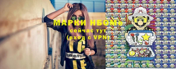 винт Абаза