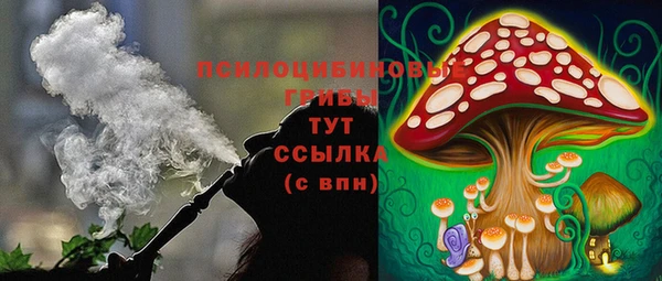 прущие грибы Алексин