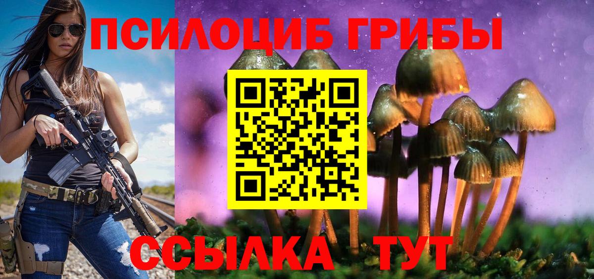 Елизово  Галлюциногенные грибы Magic Shrooms  Вход с VPN  Галлюциногенные грибы Psilocybine cubensis 