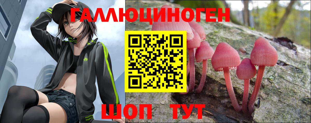 Псилоцибиновые грибы Psilocybe Елизово