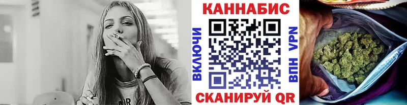 где купить   Елизово  Каннабис сатива 